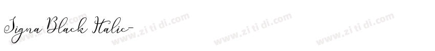 Signa Black Italic字体转换